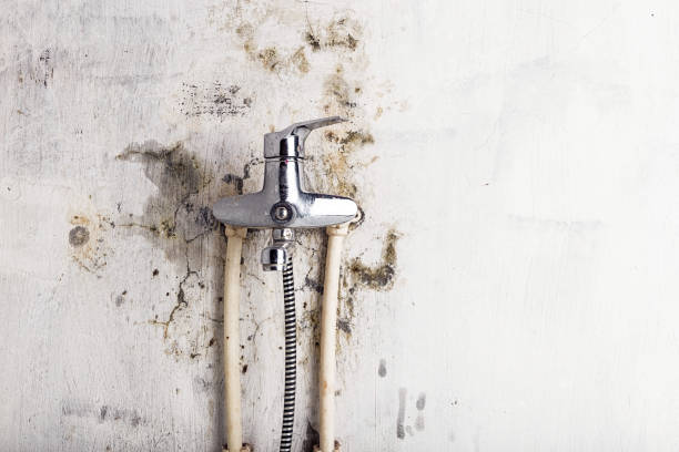 Best Office Mold Removal Services  in Phoenix Lake, CA
