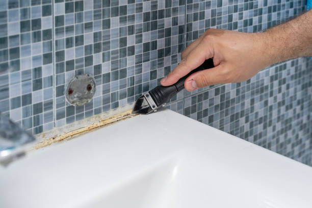 Best Toxic Mold Removal  in Phoenix Lake, CA