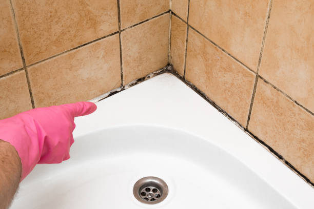 Best Emergency Mold Removal  in Phoenix Lake, CA